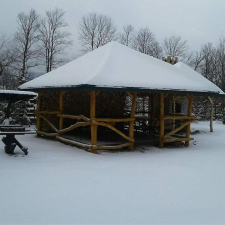 Karpaty Viking Motel Nizhneye Sinevidnoye Eksteriør bilde
