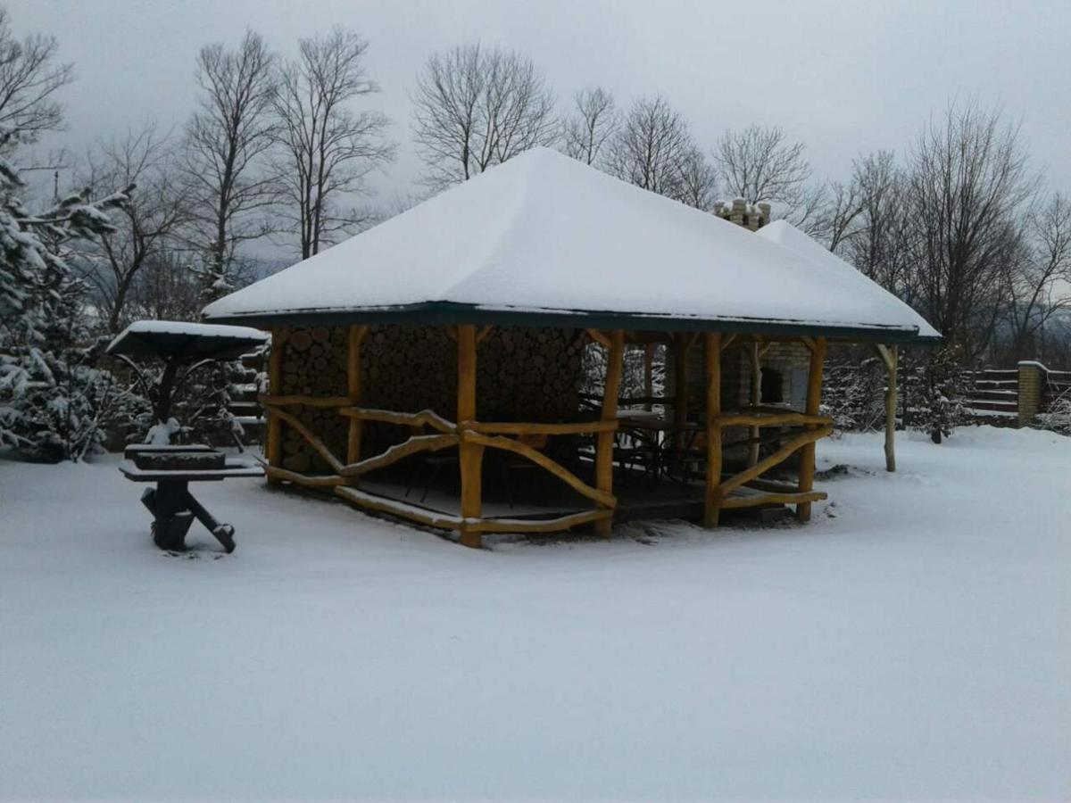 Karpaty Viking Motel Nizhneye Sinevidnoye Eksteriør bilde