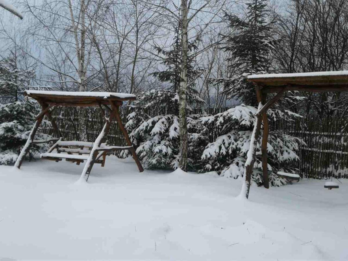 Karpaty Viking Motel Nizhneye Sinevidnoye Eksteriør bilde
