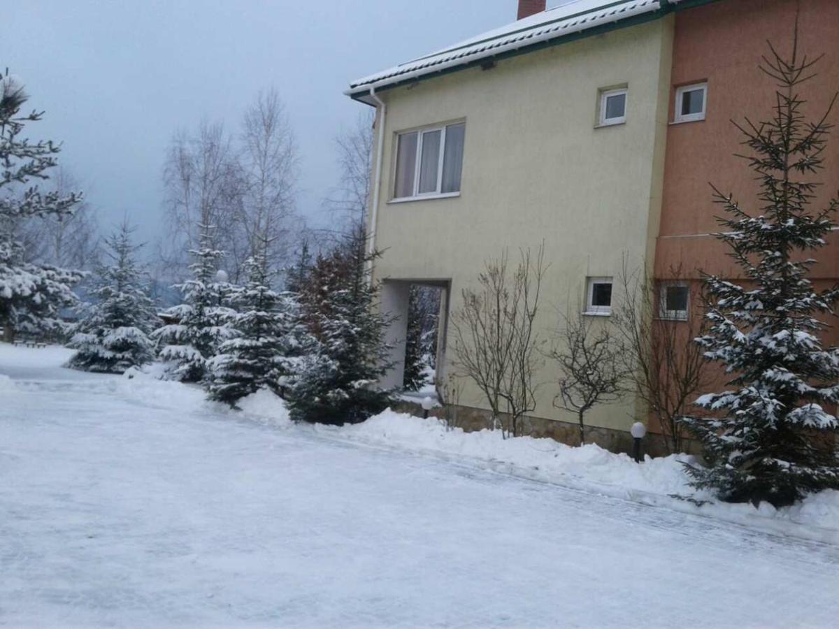 Karpaty Viking Motel Nizhneye Sinevidnoye Eksteriør bilde
